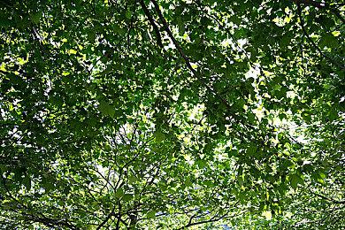 《星际公民》新实机演示 众筹已突破4.84亿美元